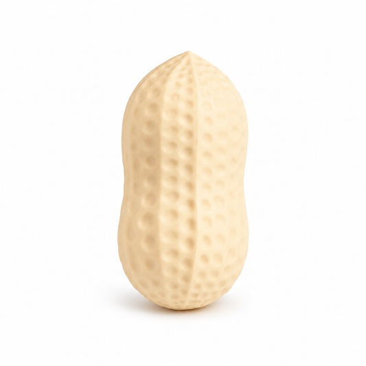 Peanut Squishy - image 1